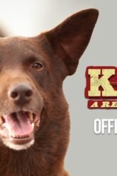Koko: A Red Dog Story | Official Trailer HD